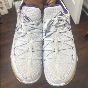 LeBron 17 Lows White and Purple